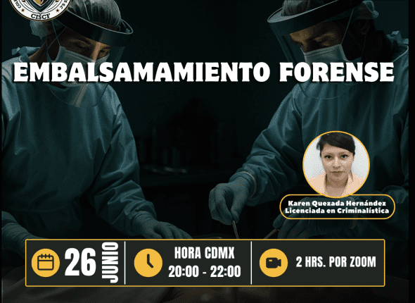 Captura de pantalla 2025-06-27 a las 12.47.23 a. m.